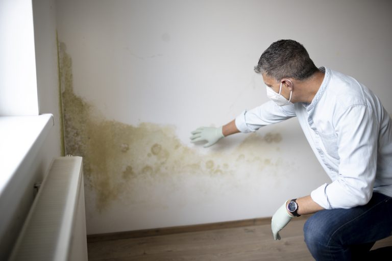 rising damp Wiltshire